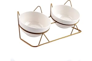 KASIYLUX Trosetry Cat Bowls, Double Ceramic Pet Bowls with 15°Tilted Raised Stand for Food and Water, Anti Vomiting Cat Dish Feeder, Perfect for Puppy Cats and Small Dogs(Double Bowls1)