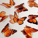 Butterfly 3D Translucent Decoration 15 ORANGE Butterflies