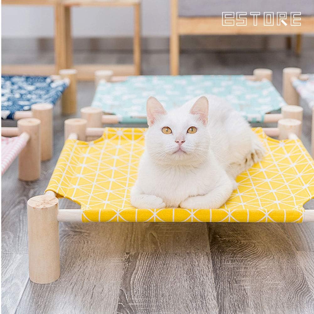 Best cat in a hammock