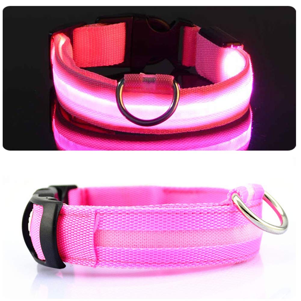 Collars, Harnesses & Leashes Pet Supplies Ancdream Green LED Dog Collar