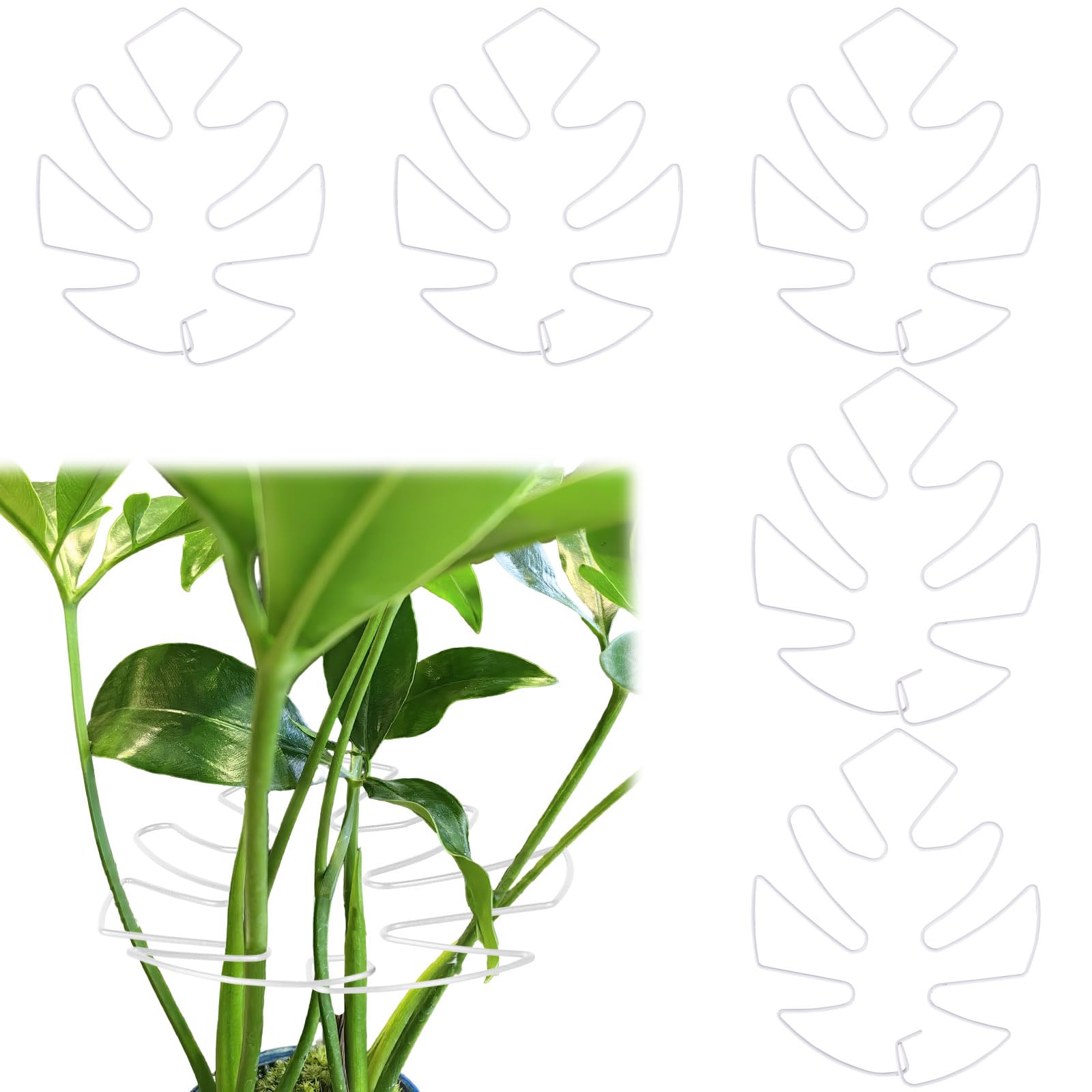 Fnaobai 5 PCS Plant Stem Holder Support Turtle Shell Bamboo Clam Set for Climbing Plants Indoor Monstera Leaf Plant Support Accessories for Outdoor Gardens Keeps Plants Thriving Growth (White)