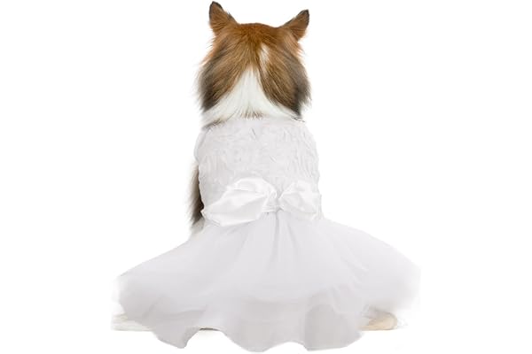 QBLEEV Dog Dress Tutu Skirt for Girl Dogs Puppy, Sweet Dog White Princess Dresses with Bowknot and Rose Decor, Pet Lace Costu