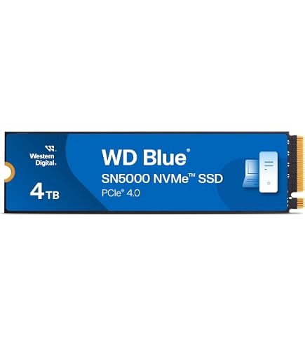 Amazon.com: Western Digital 4TB WD Blue SA510 Internal Solid State 