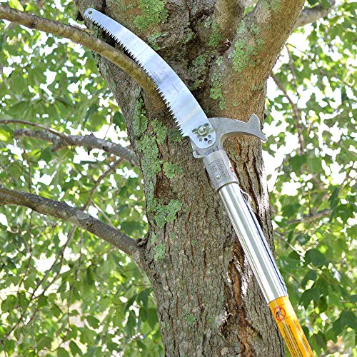 Jameson FG6PKG1 FGSeries Manual Pole Saw and Tree Pruner with Two 6Foot Fiberglass Poles