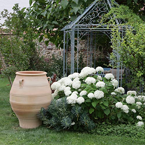 Palatina-Keramik | XXL Amphore aus Terracotta | 100 cm | frostfest | mediterrane Pflanzgefäße Pflanzkübel für Garten Terrasse Balkon Außenbereich Thymus 100 cm – Bild 7