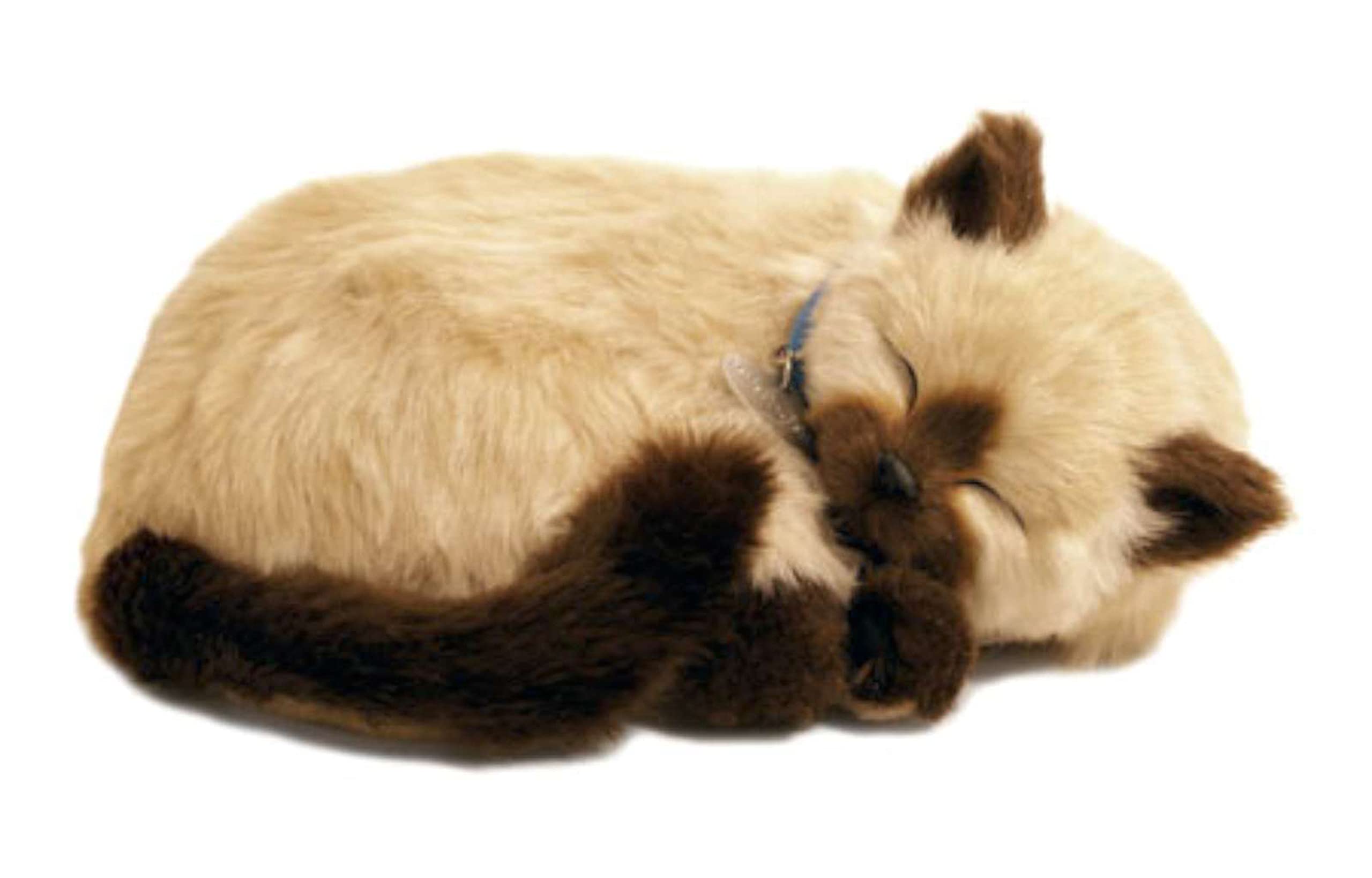 Perfect Petzzz ® The Original Breathing Pet Siamese Kitten New Huggable Soft Version Plush Toy Gift Bundle