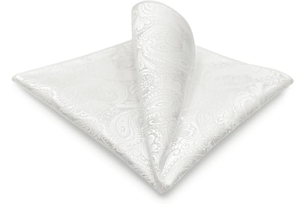 S&W SHLAX&WING Paisley Pocket Squares for Men's Suits XL Large for Weddings Parties Silky Touch