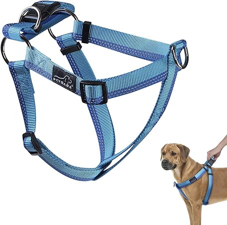 dog training harness no pull