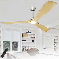 Depuley 60" Ceiling Fans with LED Lights and