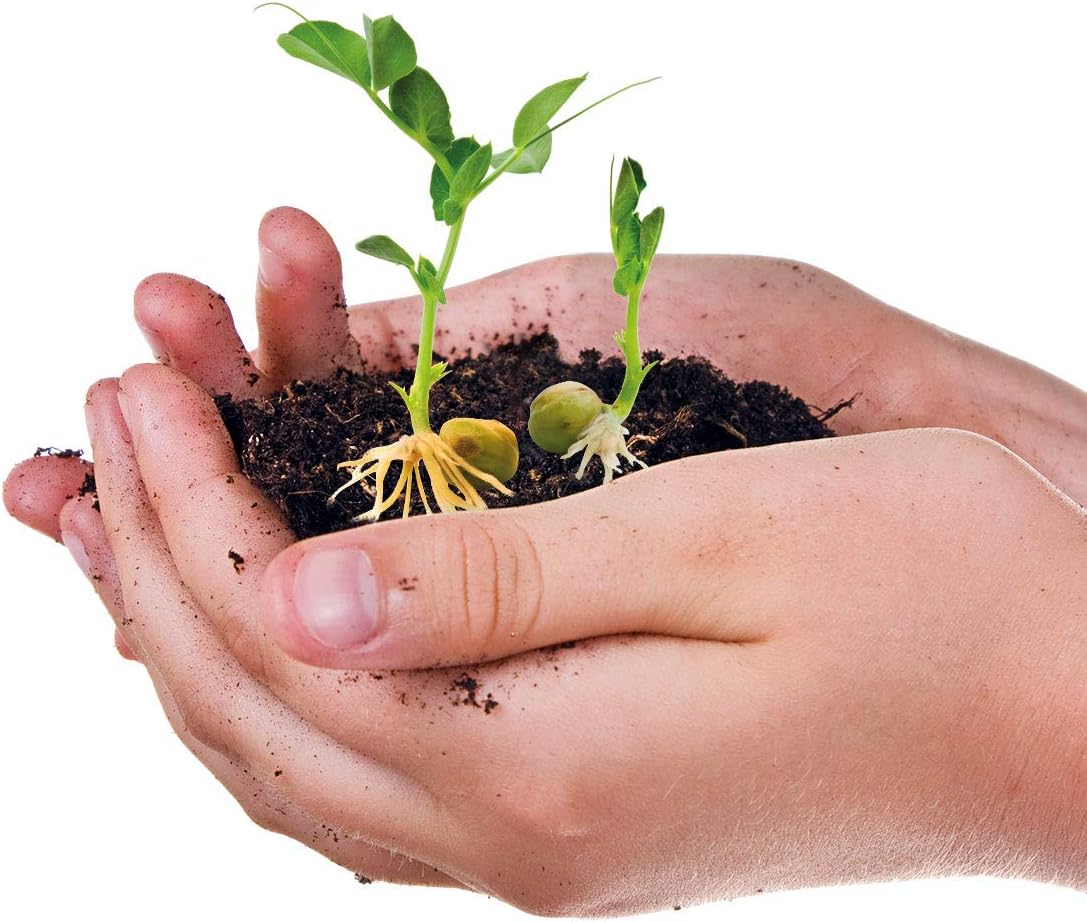 Clementoni, Science and Game: The Biosphere, Ages 8+ Assemble your Biosphere, Water Cycle Plant Growth - Image 5