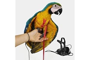 BARN ELEVEN Adjustable Bird Harness with 78.7 Inch Leash, Outdoor Flying Training Rope Kit for Bird Parrots, Parrot Flying Rope Straps Outdoor Training Traction Rope for Small Medium Large Size Birds (L)