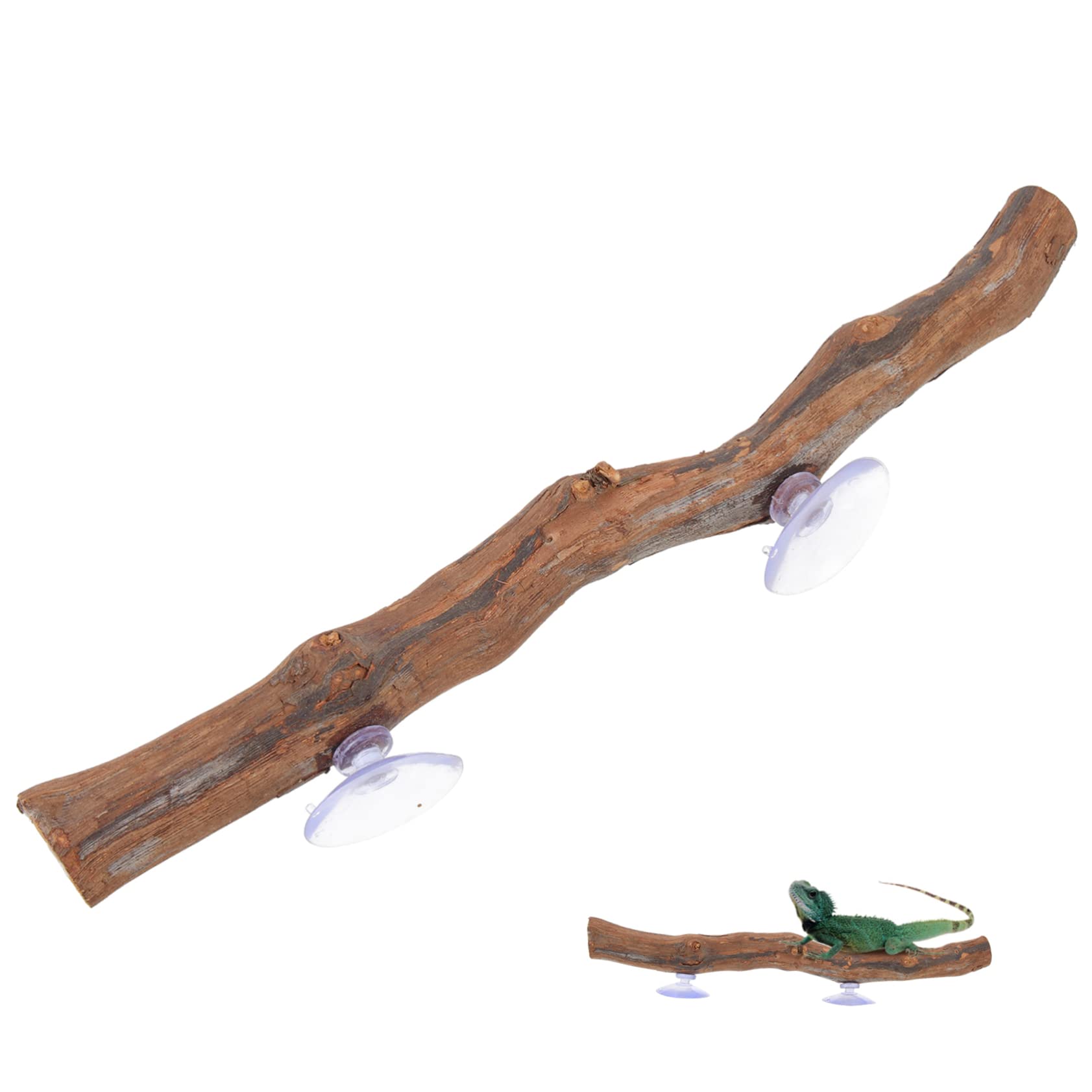 POPETPOP Reptile Corner Branch - Reptile Climbing Branch with Suction Cup Terrarium Plants Bearded Dragon Accessories Climbing Toy for Bearded Dragons Lizards Frogs Geckos
