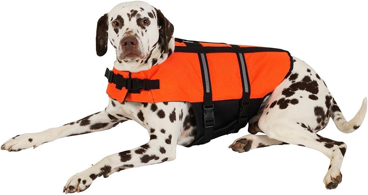 Kayak Giubotto di Salvataggio per Cane Carloo Salvagente per Cani