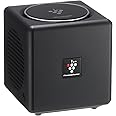 Sharp Plasmacluster Ion Air Purifier portable (IG-EX20) | Japan Import (Black)
