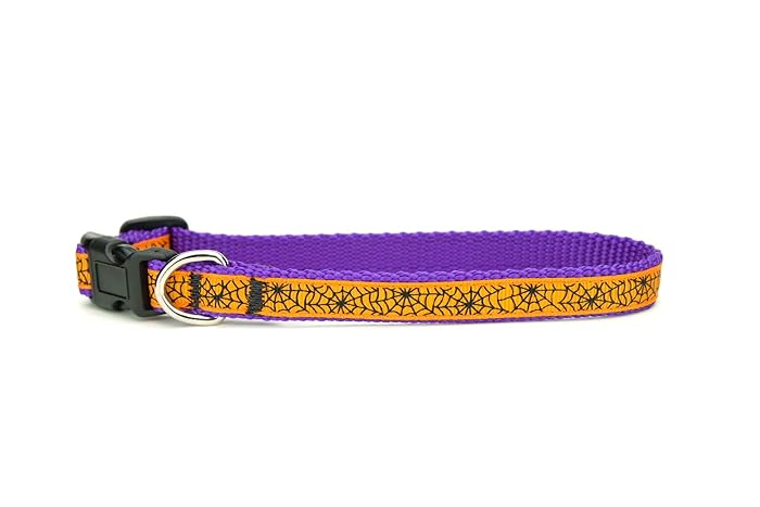 fall dog collar