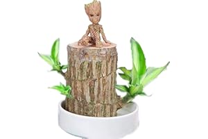 HMAQILU Brazilian Wood,Brazilian Wood Decor,Brazilian Lucky Wood Desk 2024 Newly Mini Home Decor (Style 2)