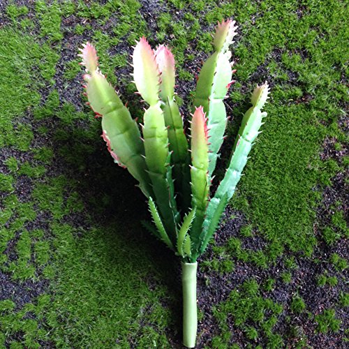 Lopkey Fake Succulent Flora Artificial Cacti Plants set of 2