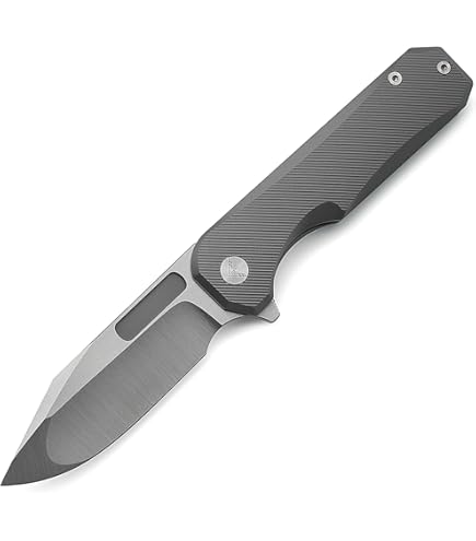 ✩ Ami ✩2 Amazon.com: A Ameight Flix II Front Flipper Folding Knife