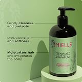 Mielle Organics Rosemary Mint Strengthening Shampoo for Dry Weak Brittle Hair view 4