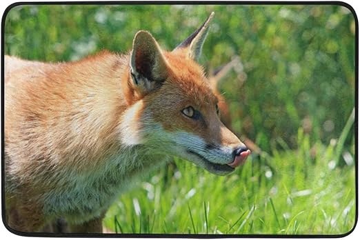 Montoj Felpudo Para Sala De Estar Dormitorio Diseno De Zorro Con Texto En Ingles Lick Lick Lick Ling Amazon Es Jardin