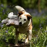 Petface Cyril The Squirrel Plush Dog Toy with Built-In Squeaker view 6