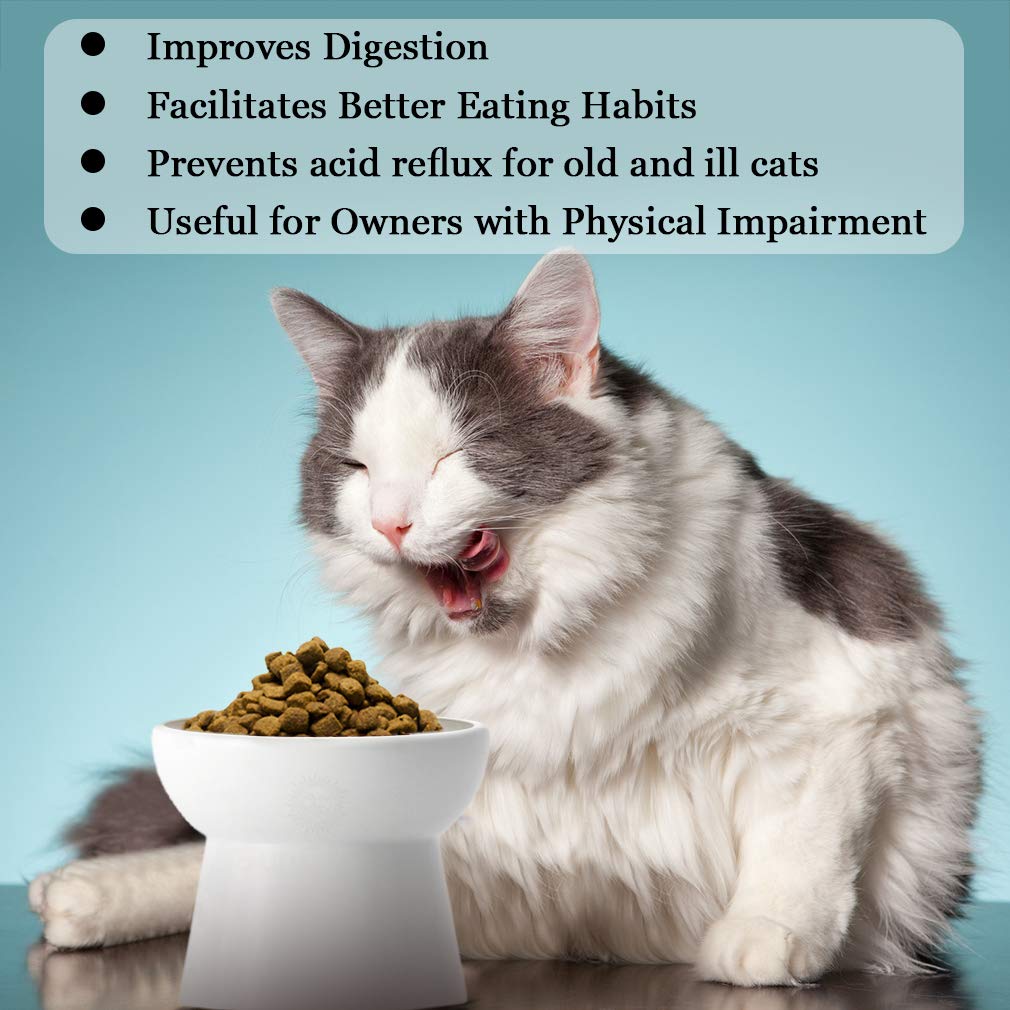 Cat bowl with stand --- Suitable eating height for pets – Easy cleaning for you – Eco-friendly, raised food bowl – Stress-free meal time for your cats - Stoneware feeding station