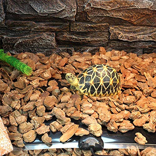 Reptile Heating Pad with Temperature Control, AUOKER Adjustable 5W Heat Mat for Reptiles Lizard, Gecko, Turtle, Hermit Crab, Tortoise, Snakes, Spider, Mammals -Safety Turtle Aquarium Terrarium Heater - Thumbnail 5