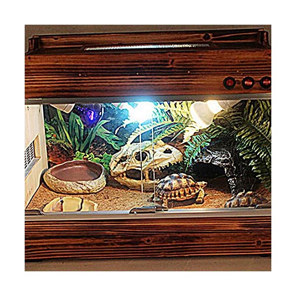 Reptile Supplies Pet Supplies Hamiledyi Reptile Carpet，Natual Coconut