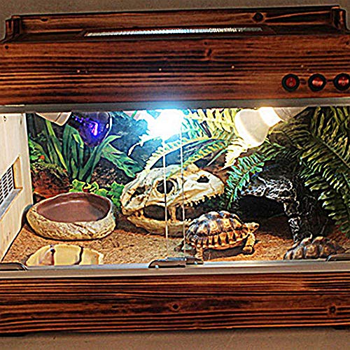 5 Hamiledyi+Reptile+Carpet%25EF%25BC%258CNatual+Terrarium+Supplies