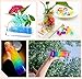 Lelix 110,000 Water Beads Growing Balls, Water Gel Beads for Kids Sensory, Vases, Plant, Wedding and Home Decor