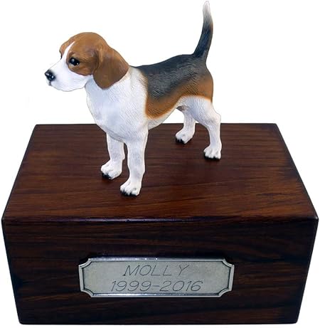 beagle memorial