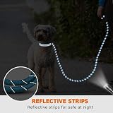 Taglory Rope Dog Lead 1.0 cm Reflective Padded Handle Blue 1.2 m view 5