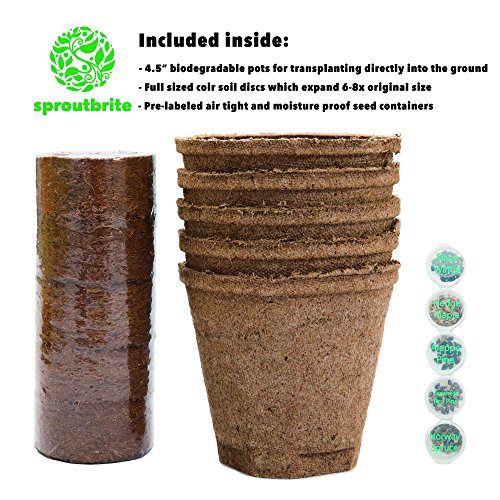 Sproutbrite Bonsai Tree Seed Starter Kit - Grow 5 Trees from Seed - The Most Complete Gardening kit for Growing Mini Bonsai Trees Indoors