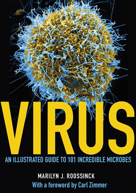 Virus: An Illustrated Guide to 101 Incredible