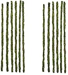 Galapagos Mossy Terrarium Sticks 32" - 12 Pack (2 Packages with 6 Pieces Each)