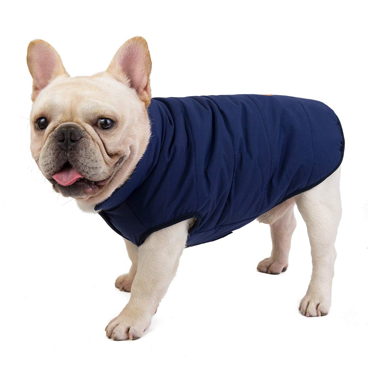 Izefia Dog Coat Cold Weather Coat Windproof Jacket Fleece Warm Dog Vest Winter Thick Clothes Dog Coat for Small Dog Bulldog Medium Cat 1C-Blue M