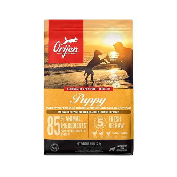 ORIJEN GRAIN FREE HIGH PROTEIN DRY DOG FOOD...
