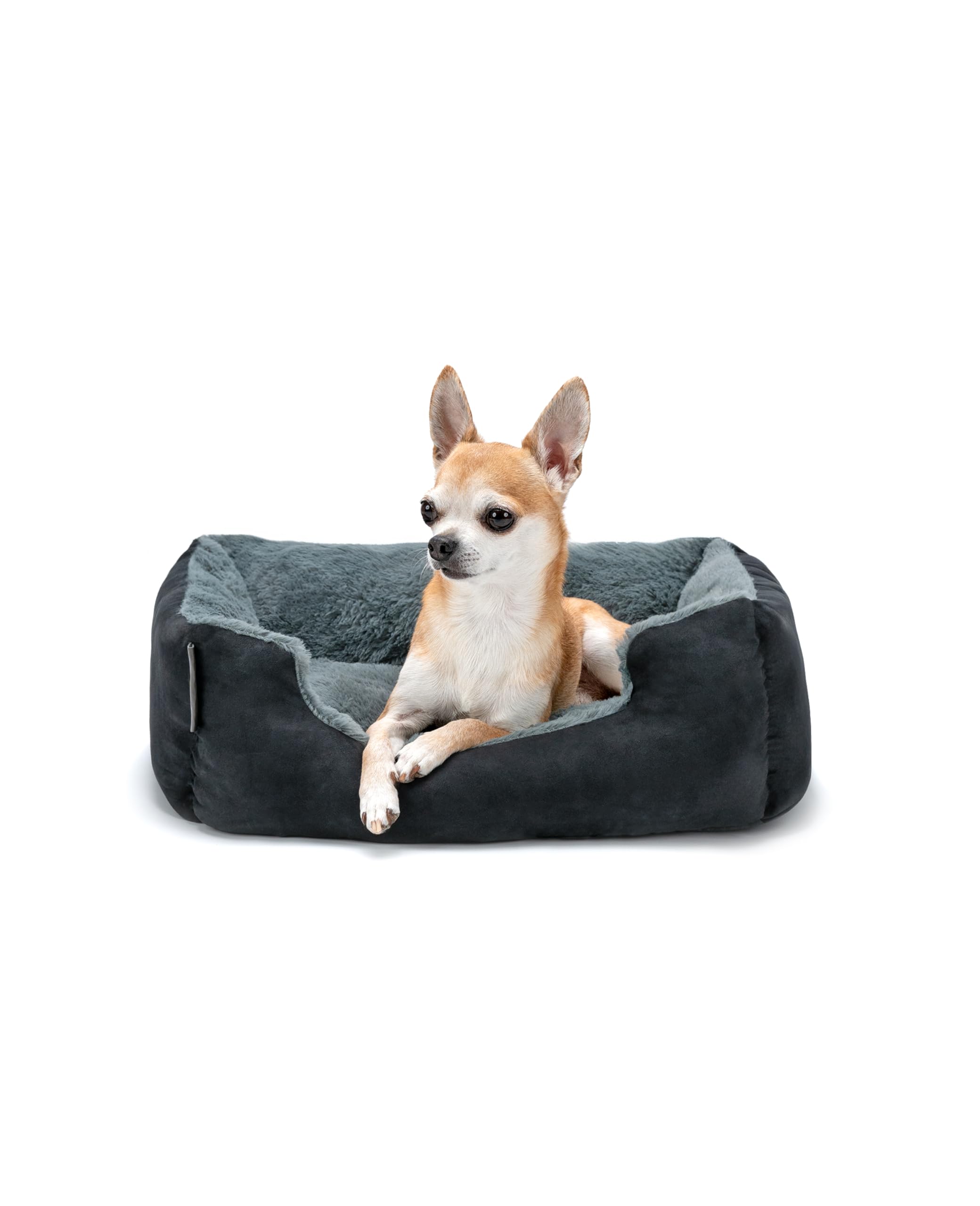 lionto Dog bed with reversible pillow and non-slip underside, robust pet cushion with low entry for dogs and cats of all ages, 50x37 cm, cuddly dog bed, black/grey