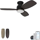Ceiling Fan with Lights, Indoor & Outdoor Ceiling Fan，48" Low Profile DC Smart Ceiling Fan Compatible with Alexa, Siri, Googl