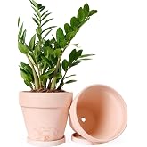 INGOFIN 8 Inch Terracotta &amp; Clay Pots for Plants with Saucers, 2 Pack | Unglazed Terra cotta Pots with Drainage Holes, Breathable Flower Planters for Indoor Outdoor, Garden Succulent, Cactus, Herbs