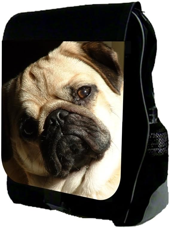 pug backpack amazon