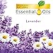 Air Wick plug in Scented Oil 8 Refills, Lavender & Chamomile, (4x2x0.67oz), Essential Oils, Air Freshener