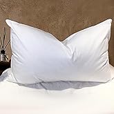 BHZ Goose Down Feather Pillows Queen Size - Hotel Collection Bed Pillows for Sleeping Soft Pillow for Side and Back Sleepers with 100% Cotton Fabric