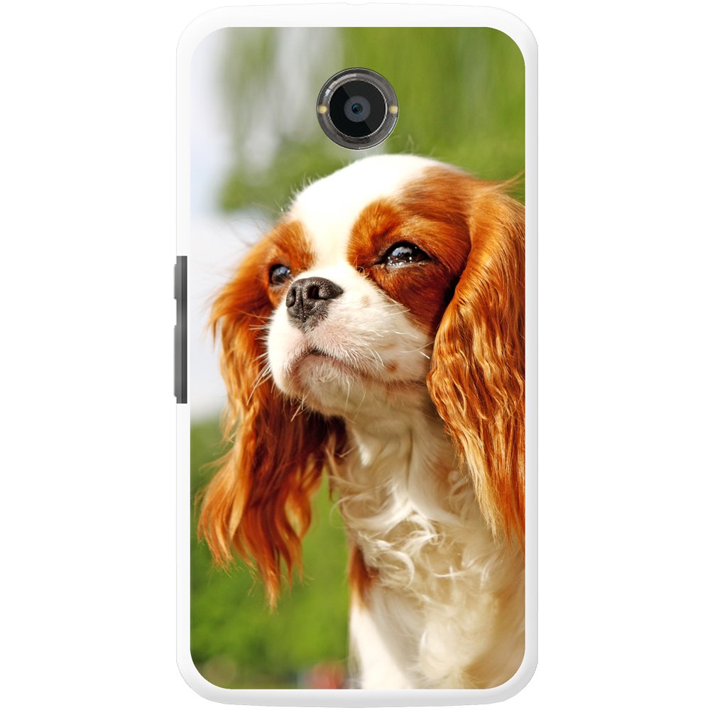 Brown White Long Hair Spaniel Dog Hard Case For Motorola Nexus 6