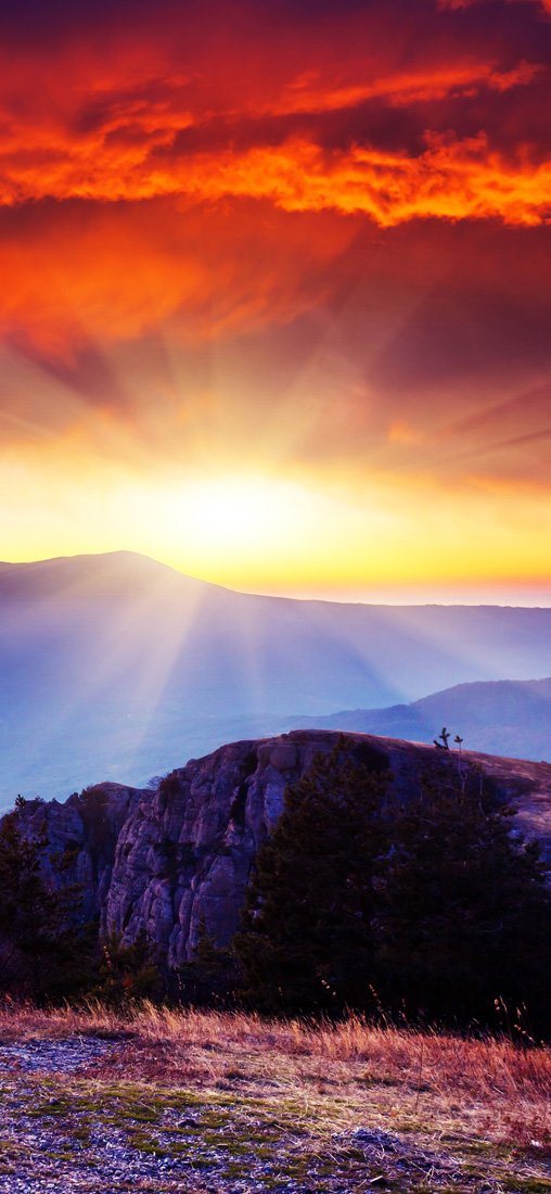 PeelitStickit Nature Wallpaper, Wall Mural ID-039, vinyl