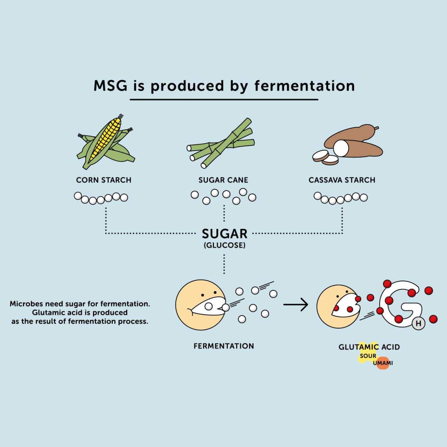 AJI-NO-MOTO - Monosodium Glutamat, (1 X 1 KG) 6
