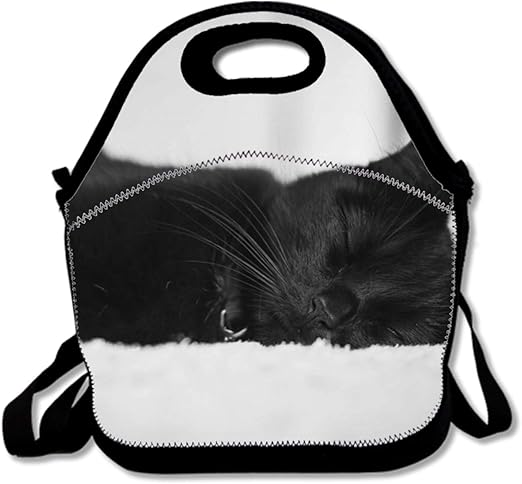 black cat lunch bag