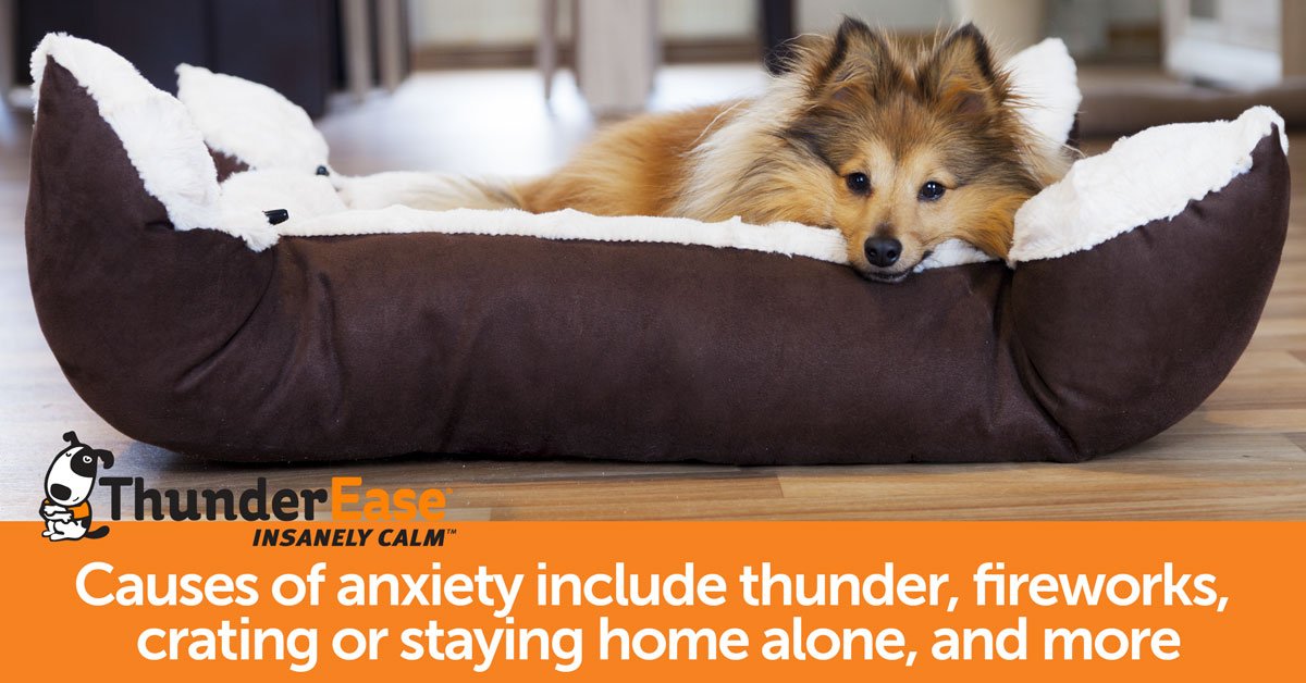 thunderease calming collar