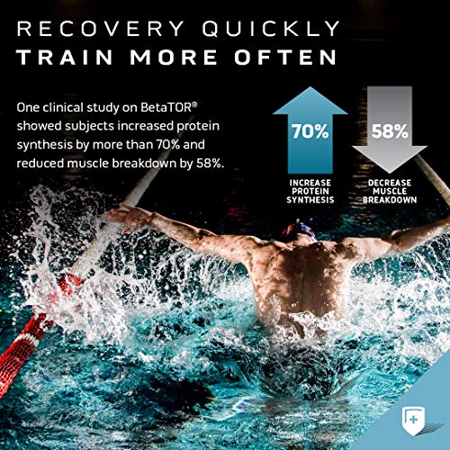 Muscle Recovery MuscleTech Clear Muscle Post Workout Recovery