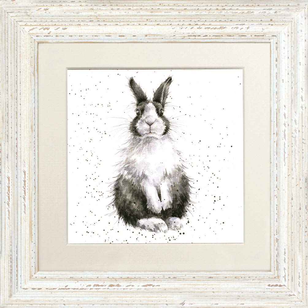 Wrendale Designs - 'Feathers' Postcard